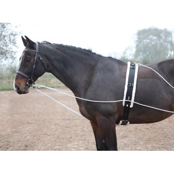 Shires Soft Lunge Aid 