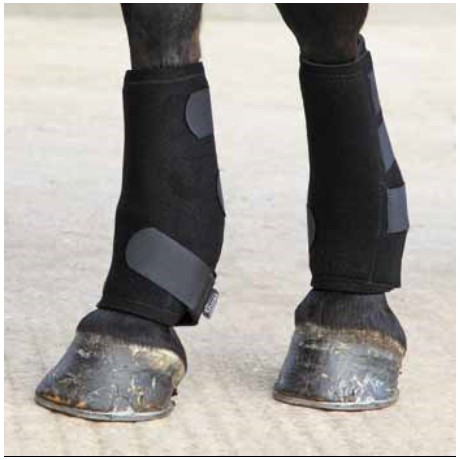 Shires Sports Boots
